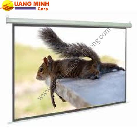 Màn chiếu treo Dinon 70 Inches